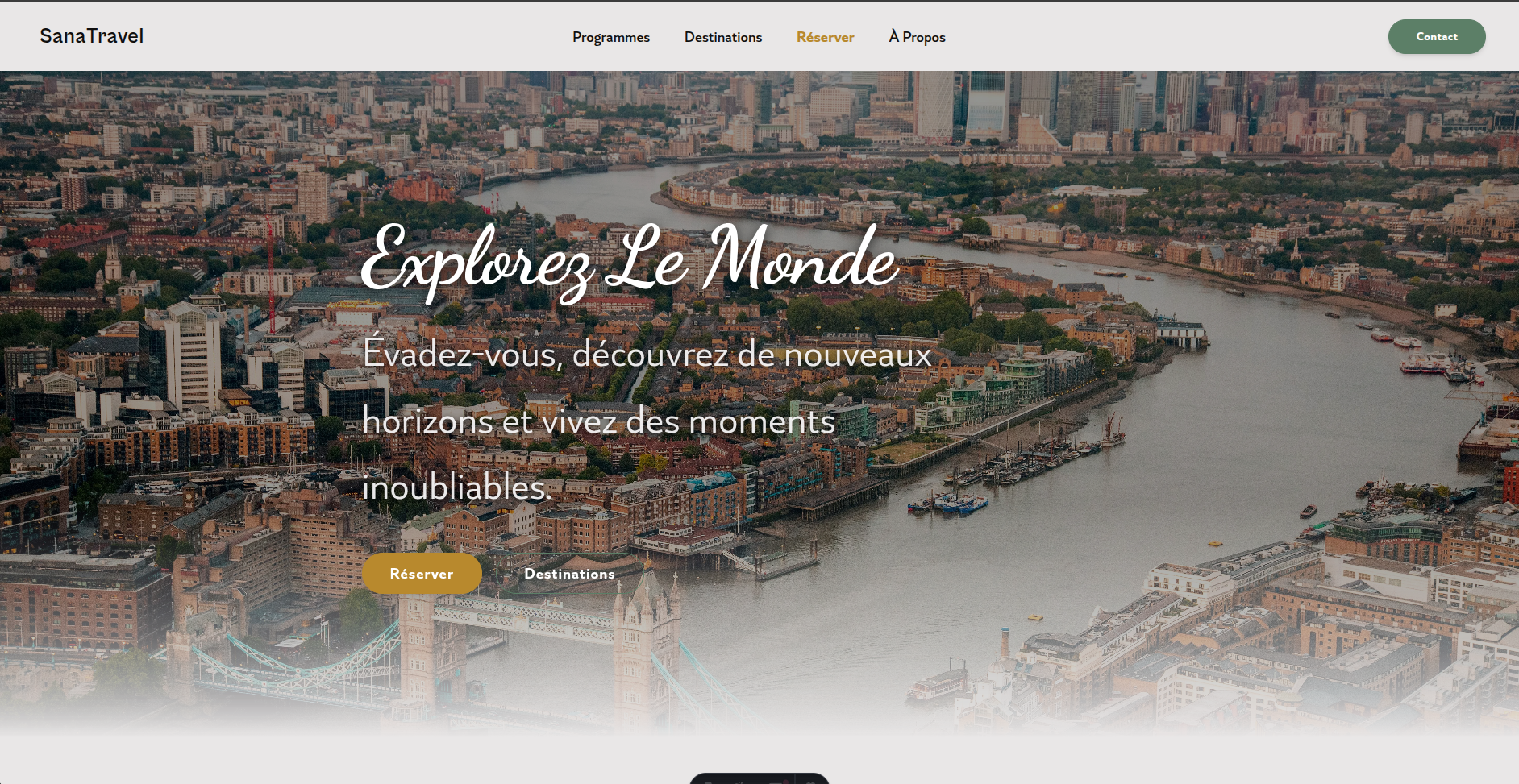 Capture d'écran SanaTravel sur navigateur